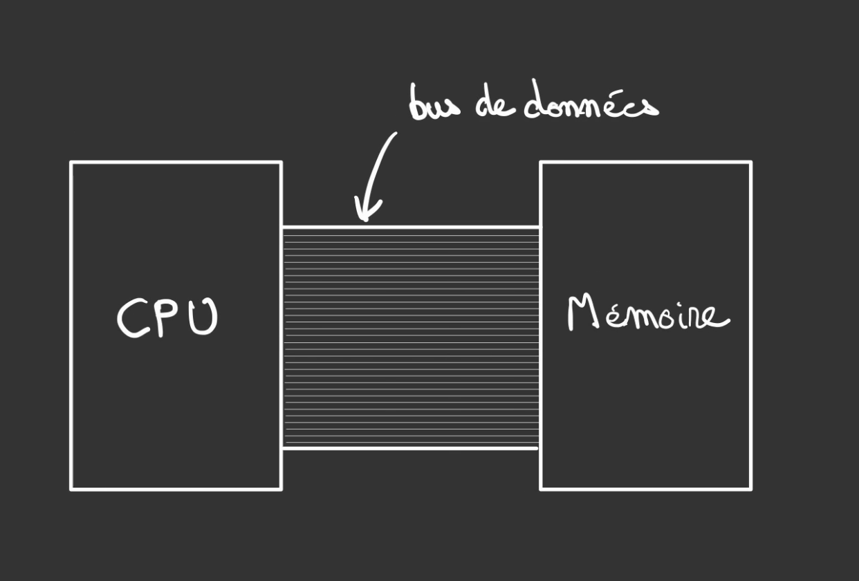 Deux rectangles relié par une série de traits parallèles signaler comme étant un bus de données. Le premier rectangle à la mention CPU, l'autre mémoire