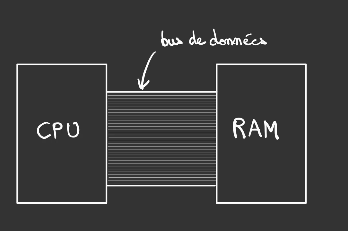 Deux rectangles relié par une série de traits parallèles signaler comme étant un bus de données. Le premier rectangle à la mention CPU, l'autre R.A.M