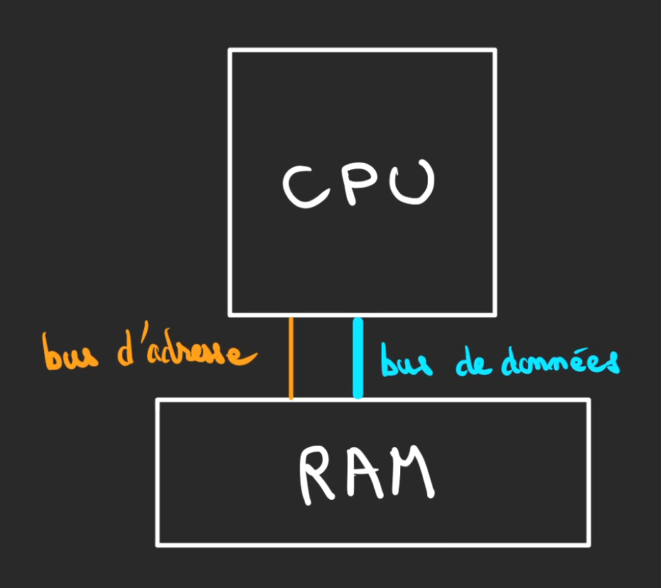 Connexion entre le CPU et la RAM