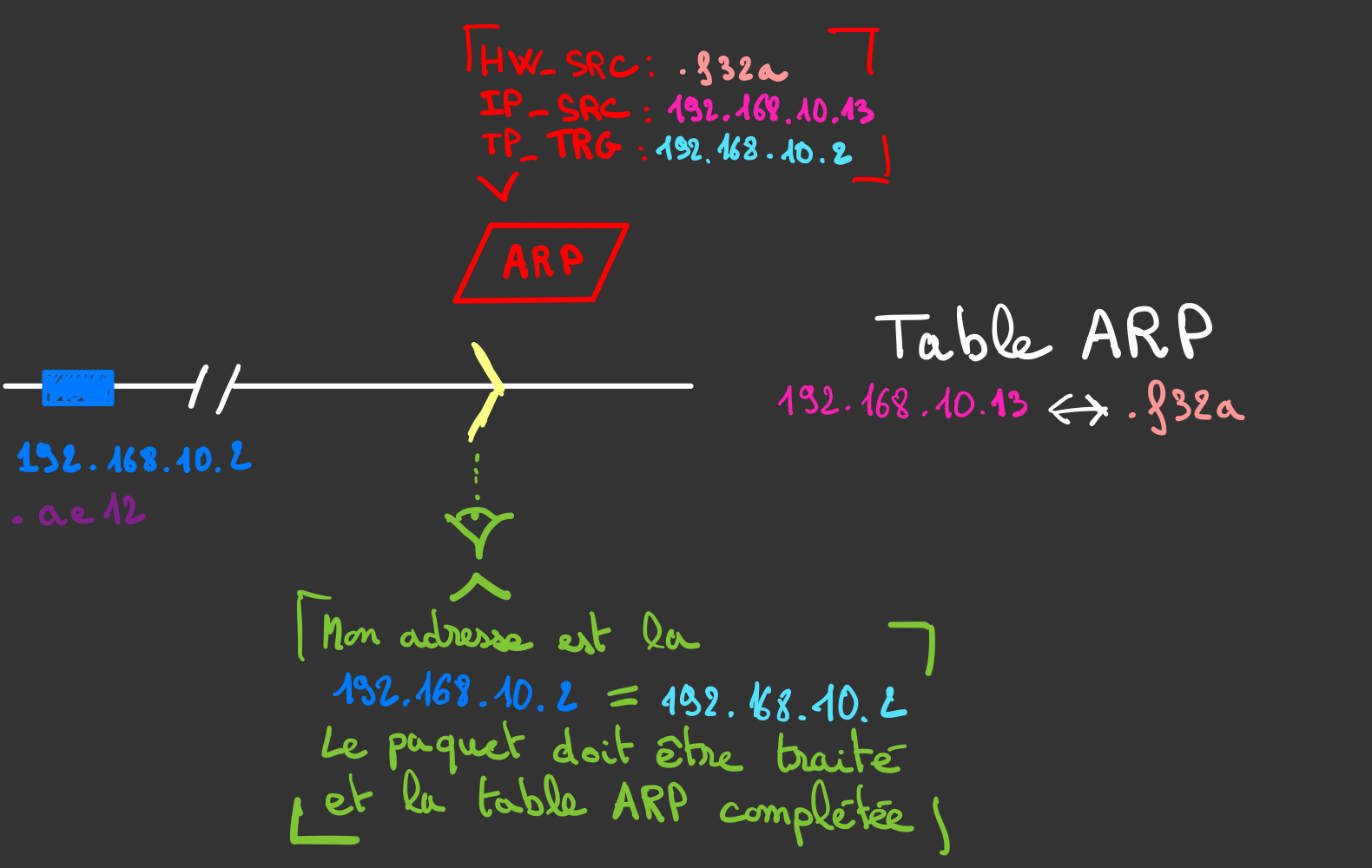 le paquet ARP de réponse est traité et la table ARP complétée